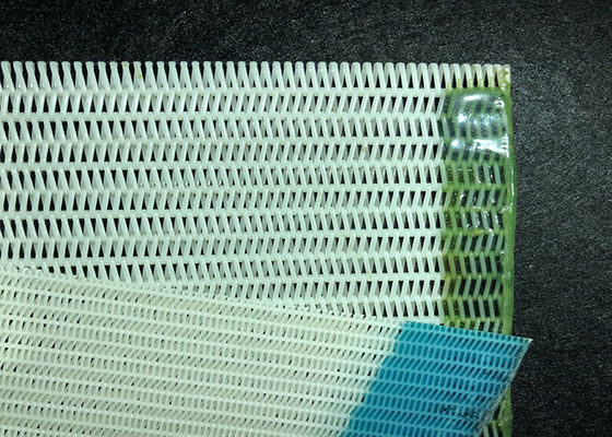 Paper Pulps Making Polyester Mesh Belt