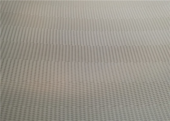 Paper Making Press SGS Polyester Sludge Dewatering Belt