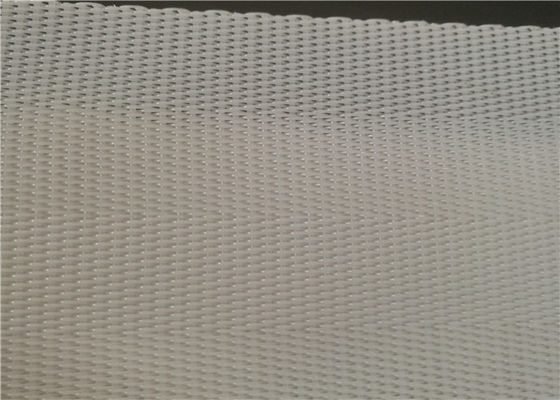 Paper Industry 50m 100% Polyester Sludge Dewatering Belt Wear Resistant