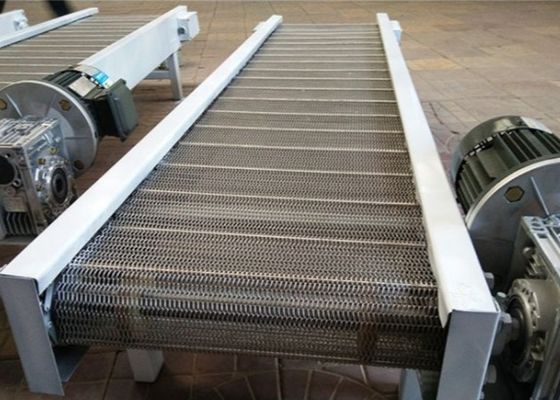 201 Stainless Steel Cleaning Vegetables Chain Conveyor Belt
