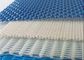 White Color Monofilament Plain Weave Polyester Mesh Conveyor Belt