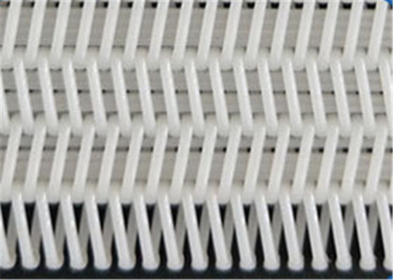 Food Grade And Industrial Grade Polyester Mesh Belt Single Layer Woven