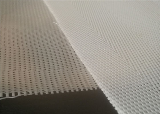 Acid Alkali Resistance Sludge Dewatering Polyester Filter Belt 50m