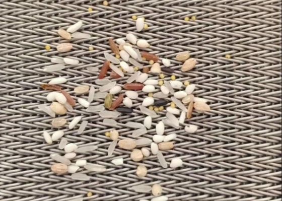 Nuts Drying 304 Stainless Steel Conveyor Compound Balanced Belt