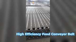 Stainless Steel Perforated Conveyor Belt
